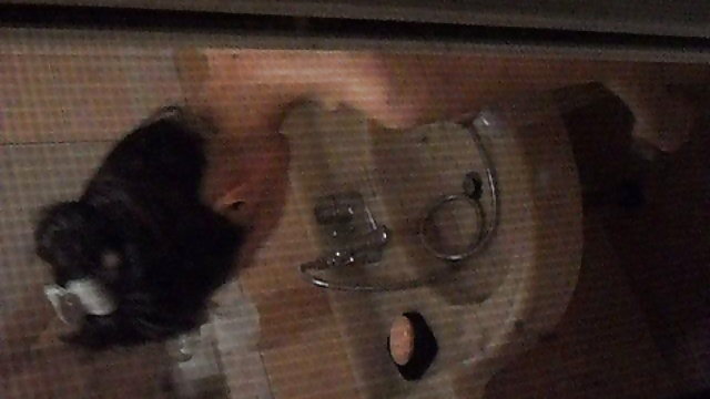 XXX بدون ثبت نام دختر ورزش ها رابطه جنسی خود را برای پول کلیپ xxx ایرانی نشان می دهد