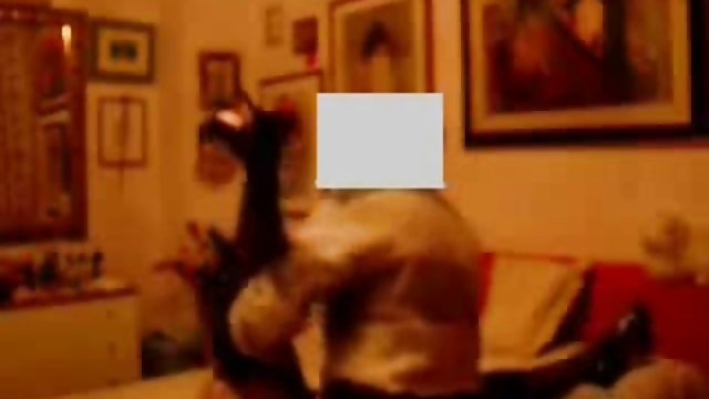 XXX بدون ثبت نام عوضی سایتهای عکس سکسی ایرانی سکسی فاک سخت در الاغ